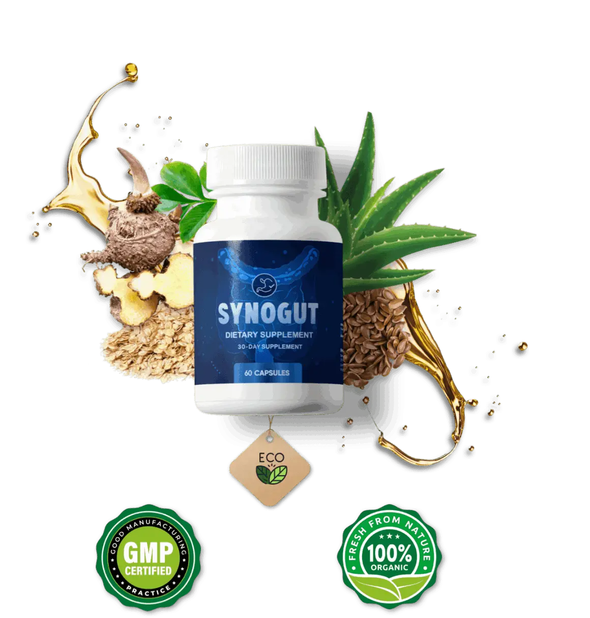 Synogut - Supplements